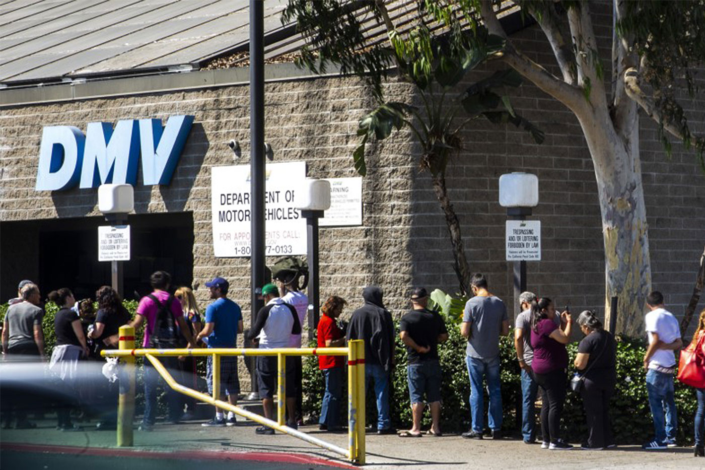 dmv long queue outside office